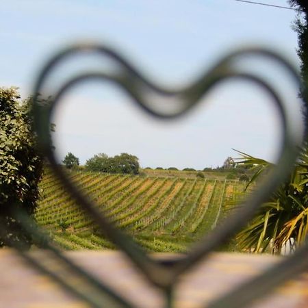 La Maison Des Vendangeurs กาเนต์-อ็อง-รูสซียง ภายนอก รูปภาพ
