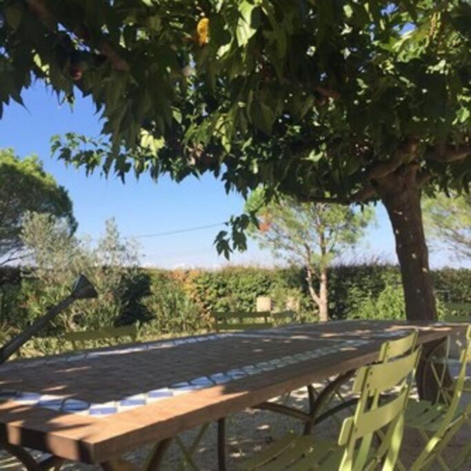 La Maison Des Vendangeurs กาเนต์-อ็อง-รูสซียง ภายนอก รูปภาพ