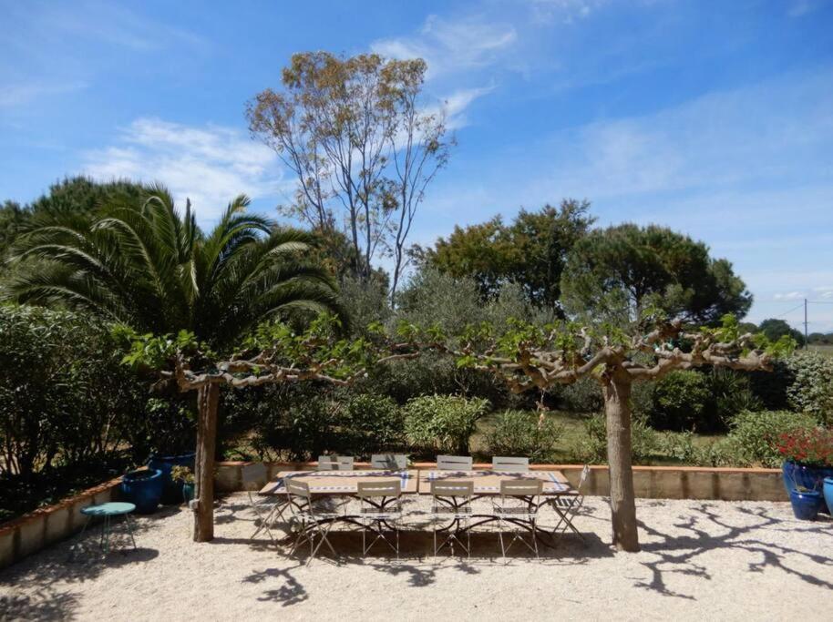 La Maison Des Vendangeurs กาเนต์-อ็อง-รูสซียง ภายนอก รูปภาพ