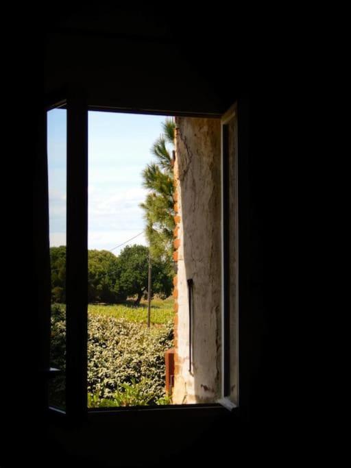 La Maison Des Vendangeurs กาเนต์-อ็อง-รูสซียง ภายนอก รูปภาพ