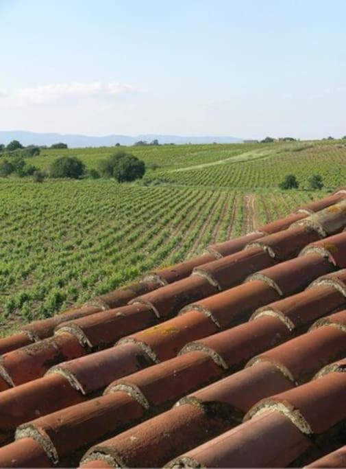 La Maison Des Vendangeurs กาเนต์-อ็อง-รูสซียง ภายนอก รูปภาพ